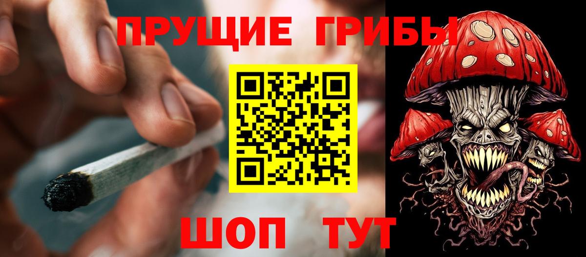 Галлюциногенные грибы ЛСД  Вход с VPN  Галлюциногенные грибы прущие грибы  Губкинский 
