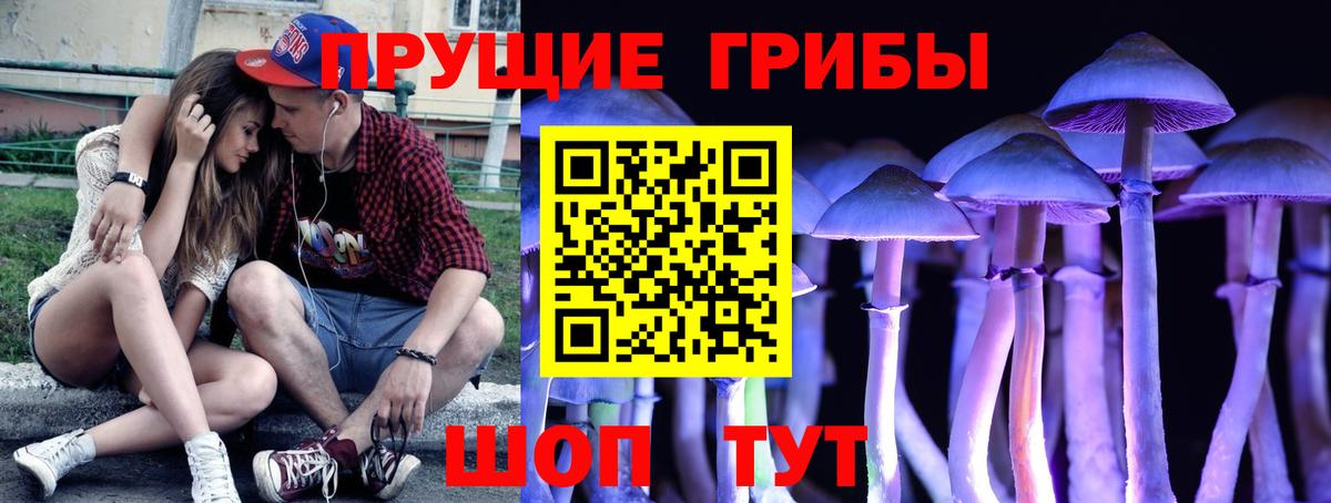 Псилоцибиновые грибы GOLDEN TEACHER Губкинский